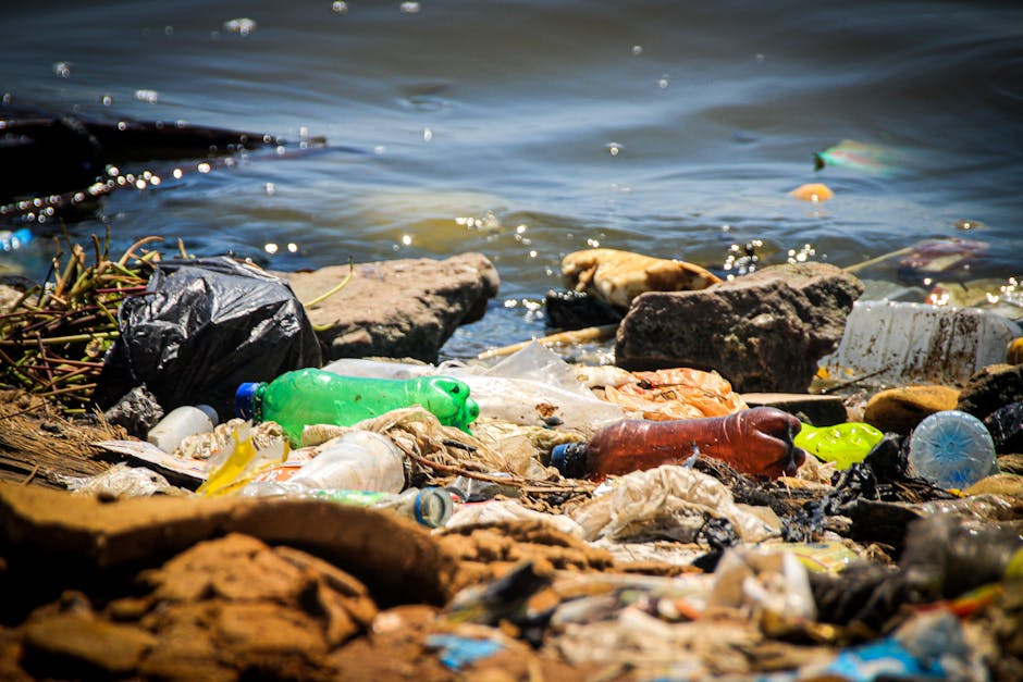 A shoreline contaminated with various types of litter including plastic bottles, food wrappers, and debris scattered among rocks and pebbles along the water's edge. The scene shows water with gentle waves lapping against the rocks and trash, with some floating objects visible further out. The plastic bottles are in multiple colors such as green, brown, and transparent, with some partially crushed or deformed, resting on the uneven surface of the rocks and soil. The background features a body of water, possibly a river or lake, under natural daylight that highlights the textures of the waste and the rough, weathered surface of the stones. In a waste management context, this image illustrates the environmental impact of improper disposal and the importance of effective rubbish removal services, like those offered by House Clearance Bayswater, to prevent pollution of natural environments and promote cleaner waterways.